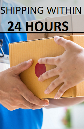 shipping within 24 hours